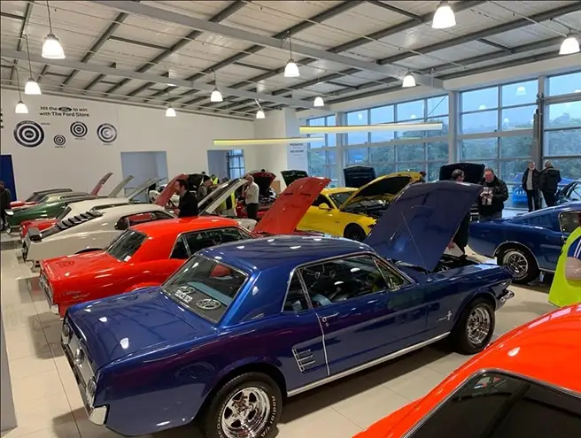 North Harbour Ford Hosts Mustang Show