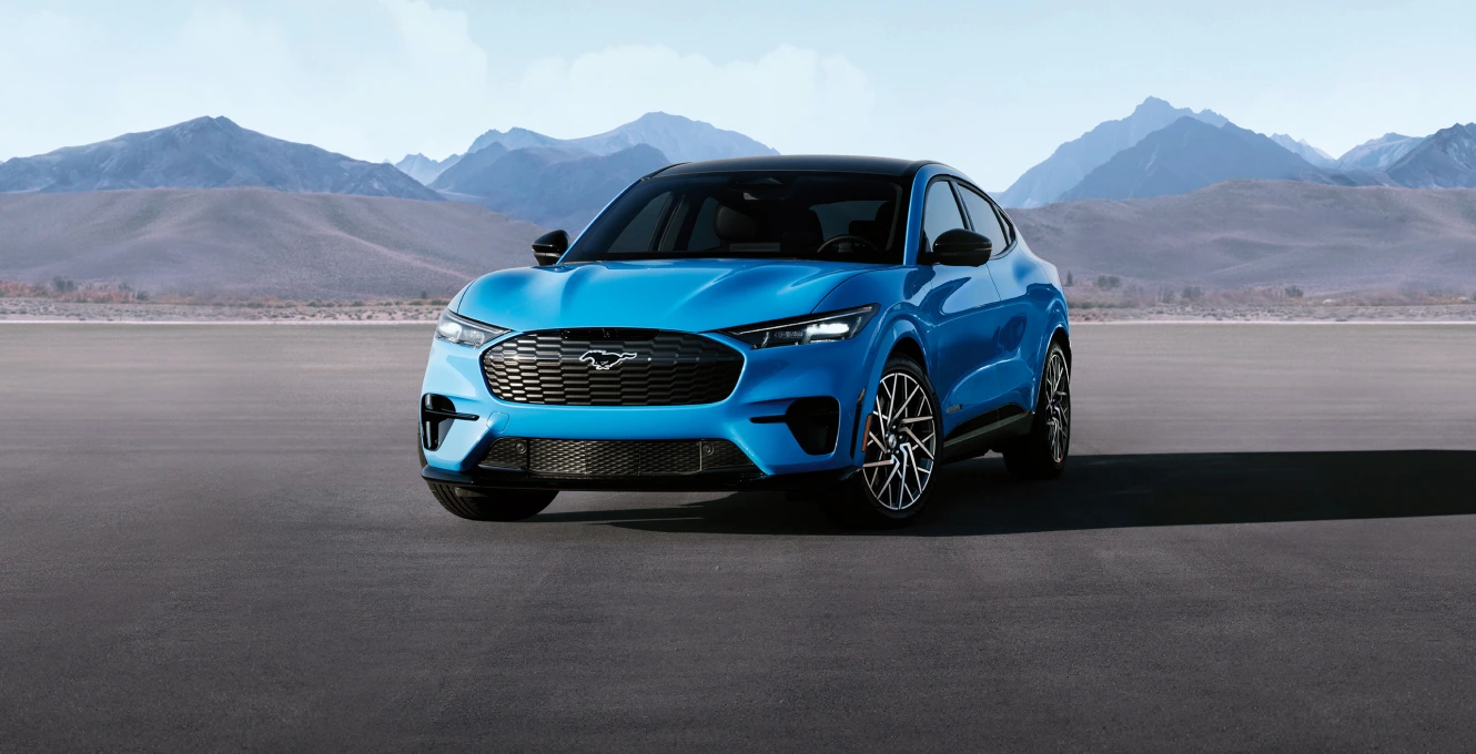 option for electric vehicle