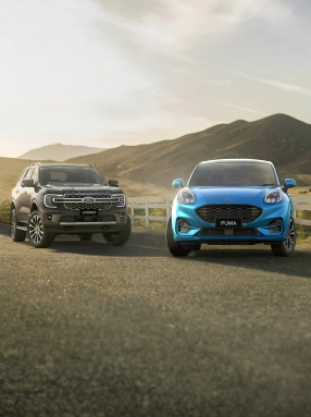 Option for suvs and cars