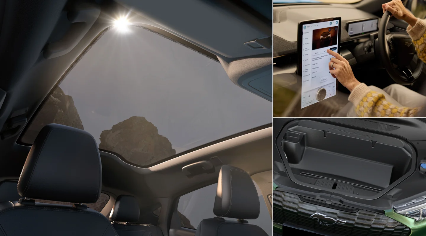 Mustang Mach-E Gallery-2