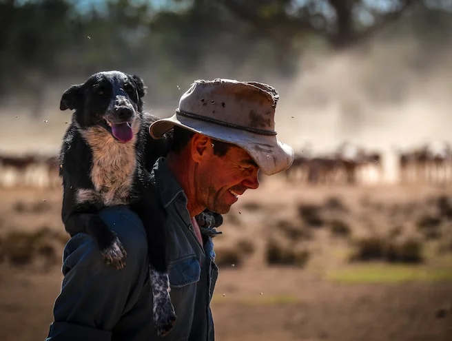 Farming