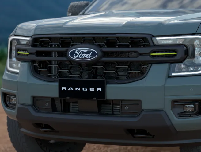 Unique Front Grille with Zest Nostril Inserts