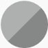 Moondust silver button