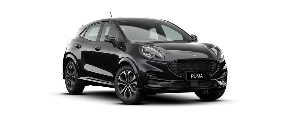 Nz puma best sale