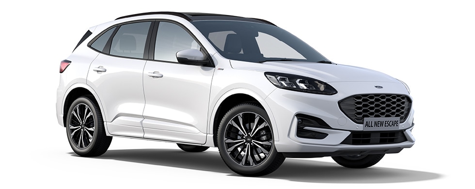 Frozen White Ford Escape PHEV