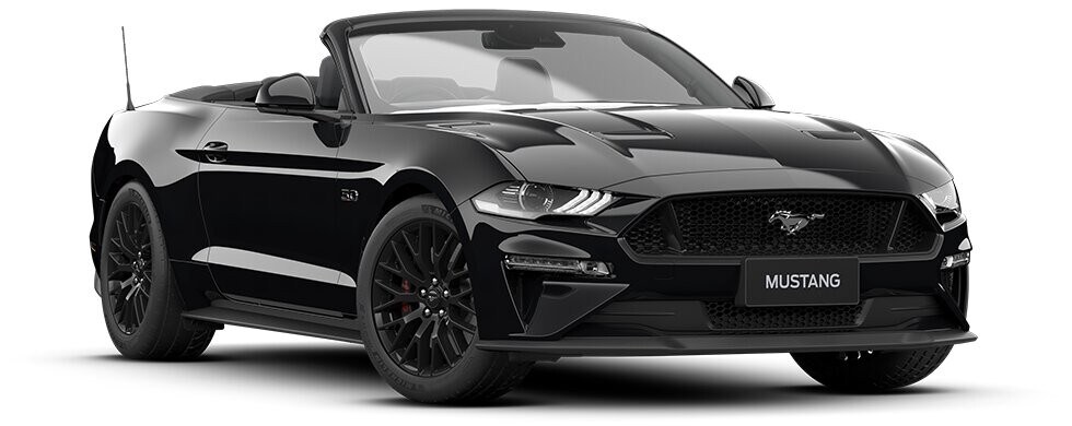 Shadow Black Fastback Mustang