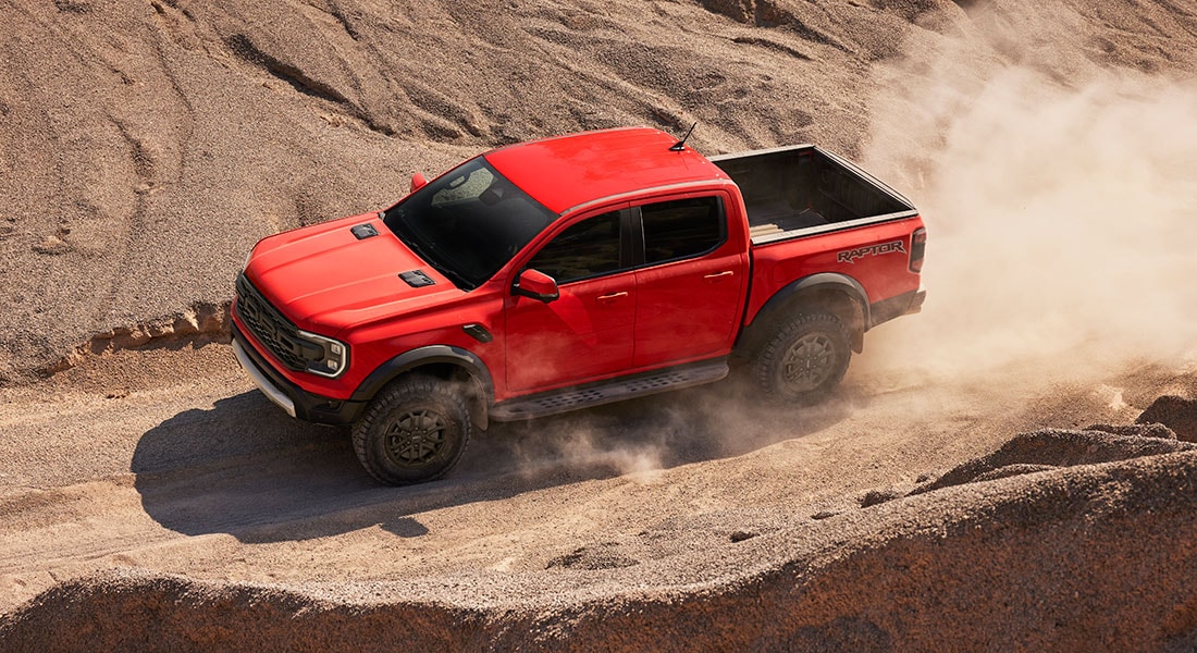 raptor