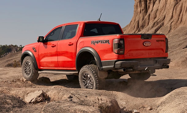 raptor